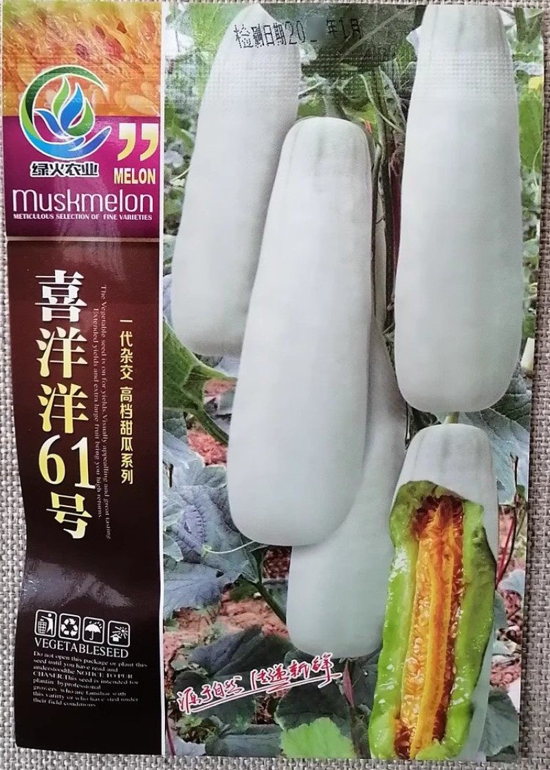 喜洋洋61号羊角蜜甜瓜种子薄皮肉厚抗病果形整齐匀称