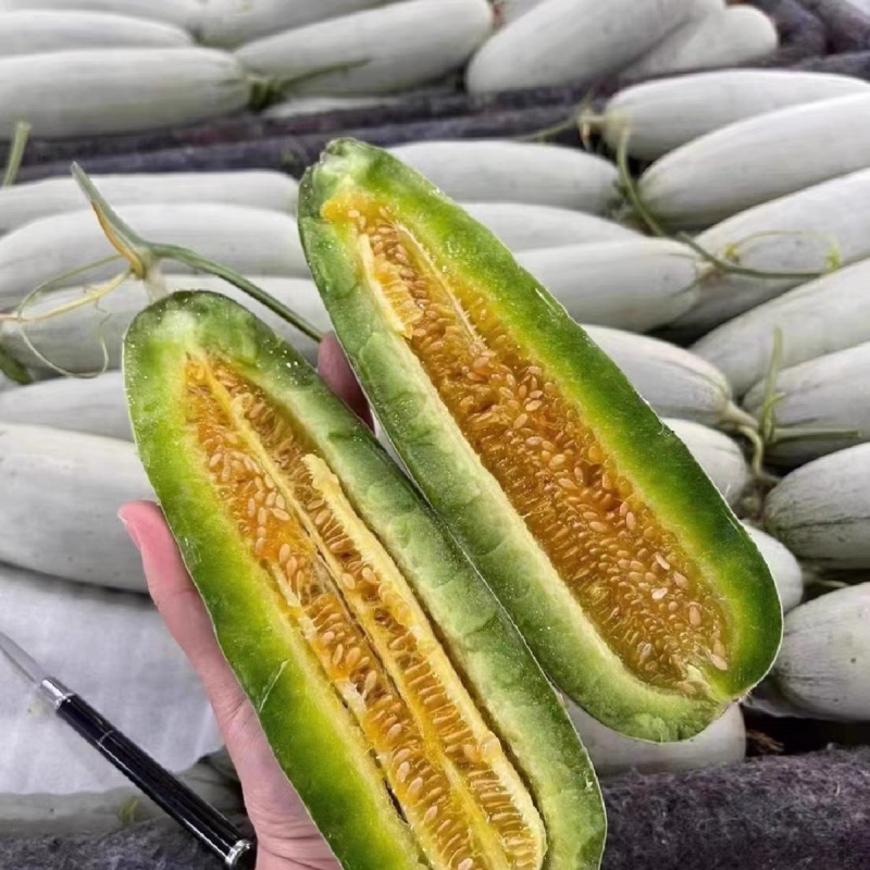 喜洋洋61号羊角蜜甜瓜种子薄皮肉厚抗病果形整齐匀称