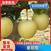 皇冠梨产地直发货源充足欢迎来电咨询