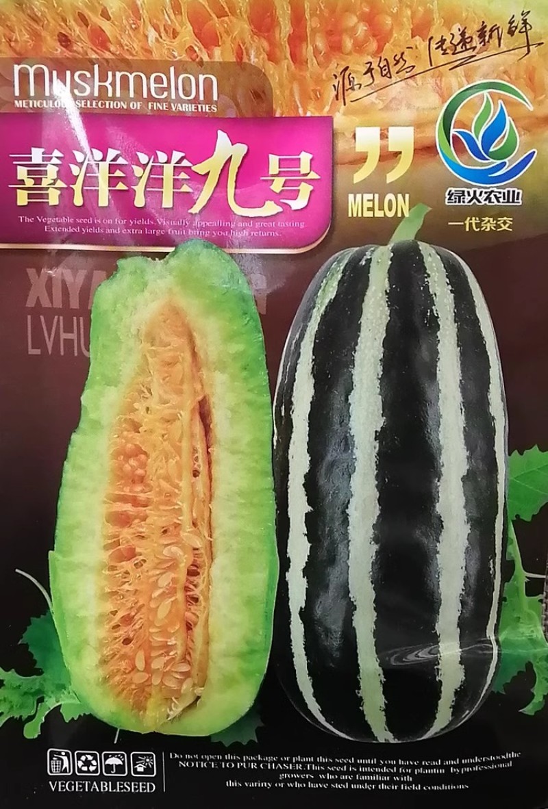 喜洋洋九号博洋甜瓜种子薄皮肉厚果皮花条纹脆酥清香