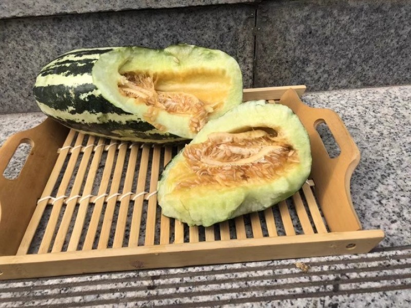 喜洋洋九号博洋甜瓜种子薄皮肉厚果皮花条纹脆酥清香