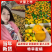 蜜桔甜蜜多汁皮薄化渣，现摘现卖，美味可口，产地直发