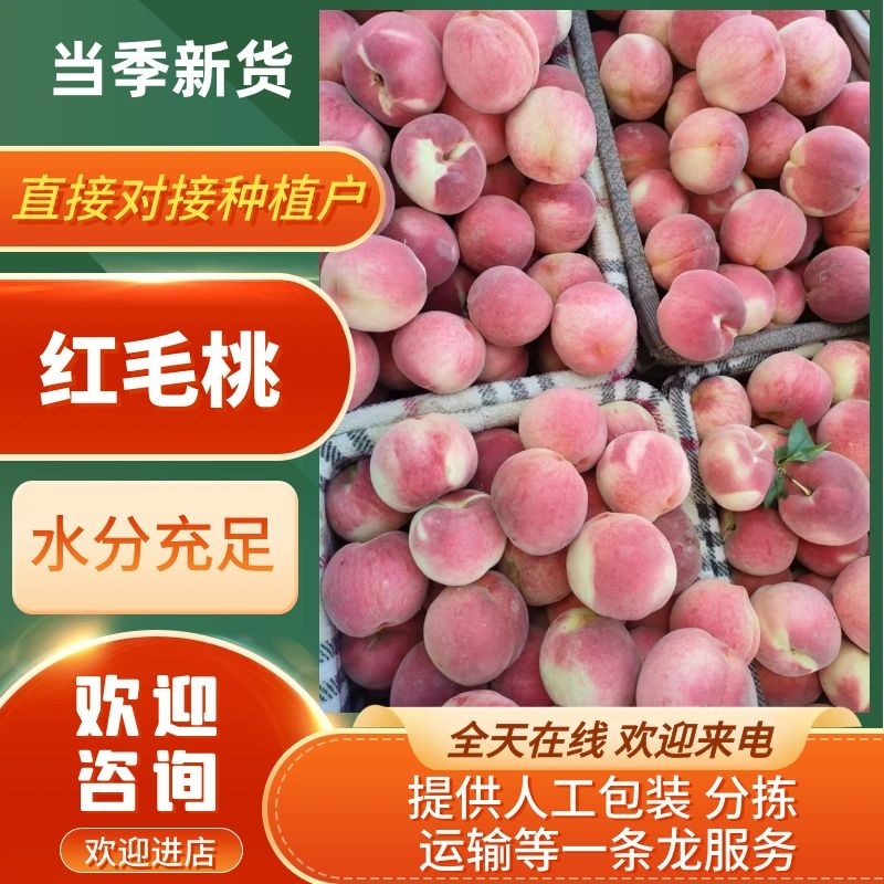 精品毛桃红毛桃大量上市了产地直发保质保量量大优惠