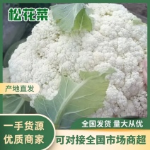 【优质】精品松花菜花菜产地直供批发