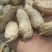 鲁花8号花生，基地供应量大质优价格优惠，一手货源