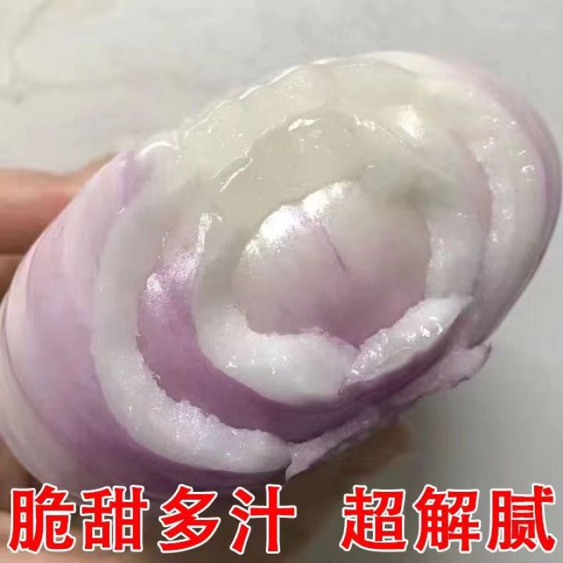 紫皮洋葱，新洋葱大量供应，产地直发，量大从优，可视频看货