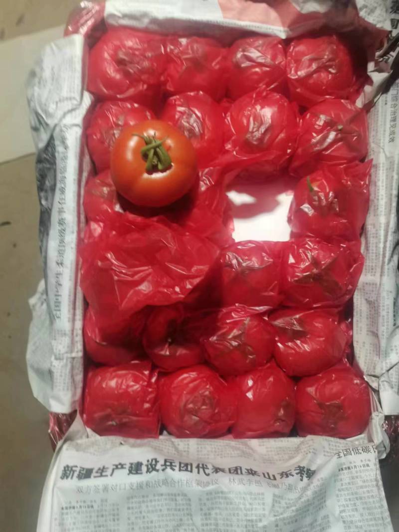 【精品西红柿】大红西红柿硬粉西红柿品质保证量大从优
