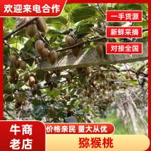 淄博博源泉有机猕猴桃基地绿心猕猴桃一手货源视频看货