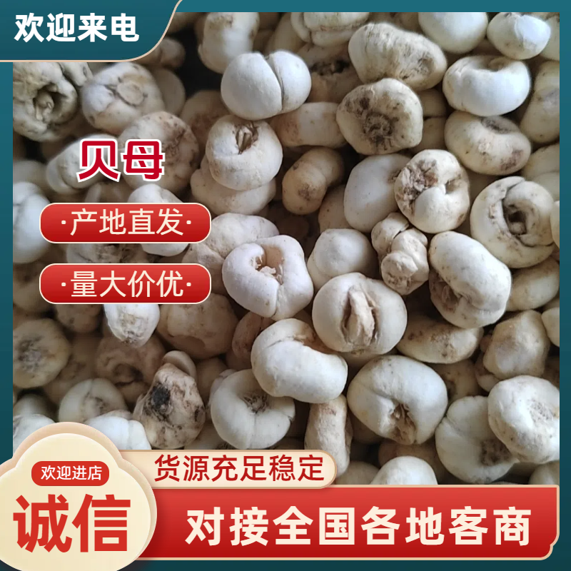 各种贝母规格齐全保质保量欢迎订购