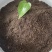 生物有机肥羊粪原料有效活2亿