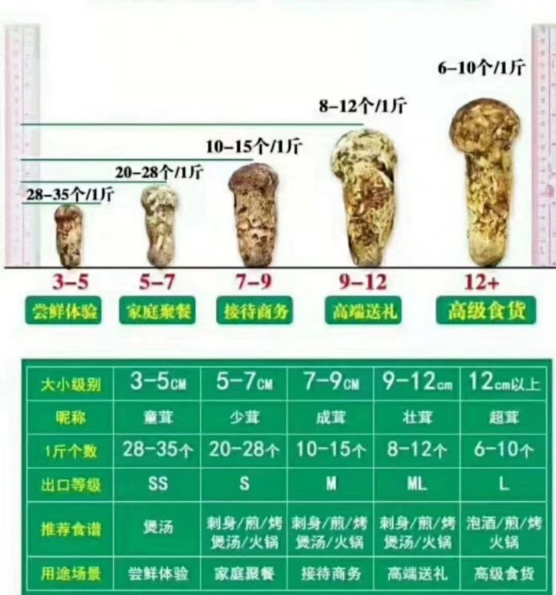 四川野生菌松茸全国发货量大价优欢迎联系诚信经营
