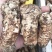 四川野生菌松茸全国发货量大价优欢迎联系诚信经营
