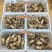 四川野生菌松茸全国发货量大价优欢迎联系诚信经营