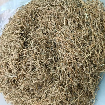（推荐）鱼腥草干根保质保量可视频看货