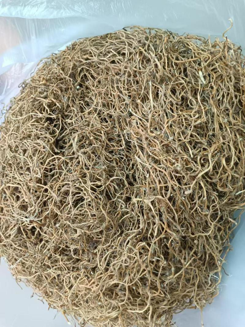 （推荐）鱼腥草干根保质保量可视频看货