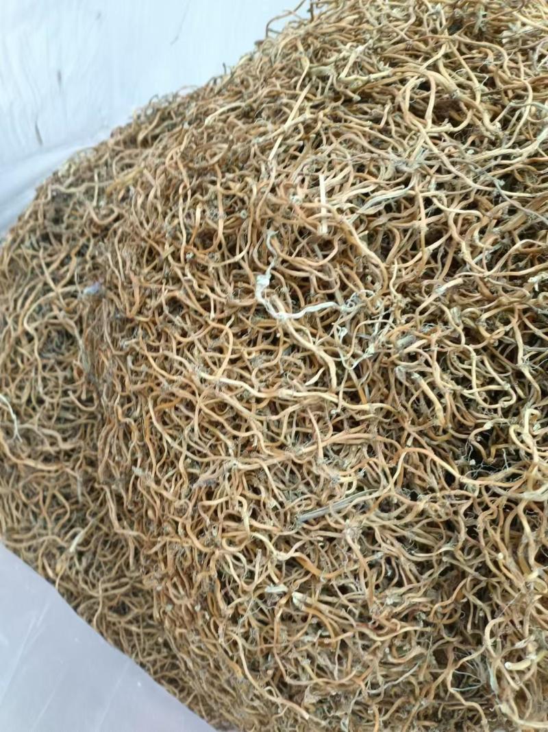 （推荐）鱼腥草干根保质保量可视频看货