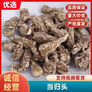 当归头精品当归头甘肃当归头规格齐全量大从优，全年发货