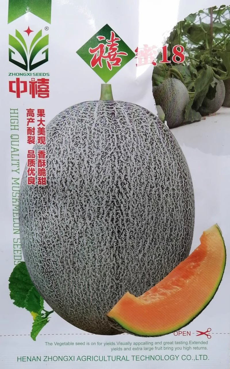 禧蜜25哈密瓜种子中早熟果肉橘红酥脆多汁肉厚香甜