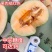 禧蜜25哈密瓜种子中早熟果肉橘红酥脆多汁肉厚香甜