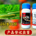 中科11.6%甲维氯虫苯抗性肉虫青虫卷叶螟钻心虫杀虫剂