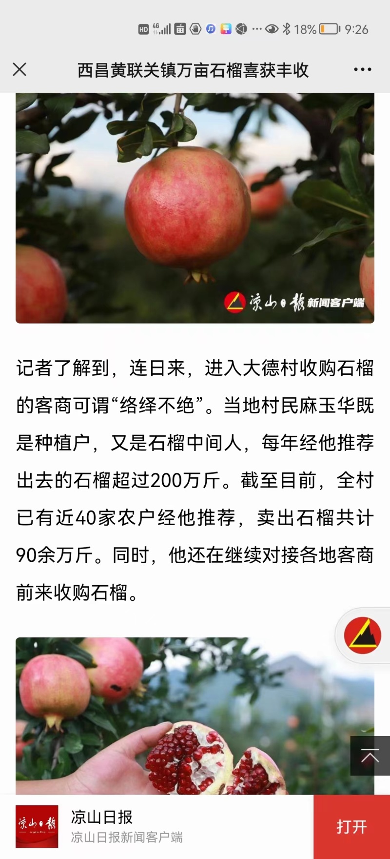 四川凉山突尼斯软籽石榴产地直发来电咨询更优惠