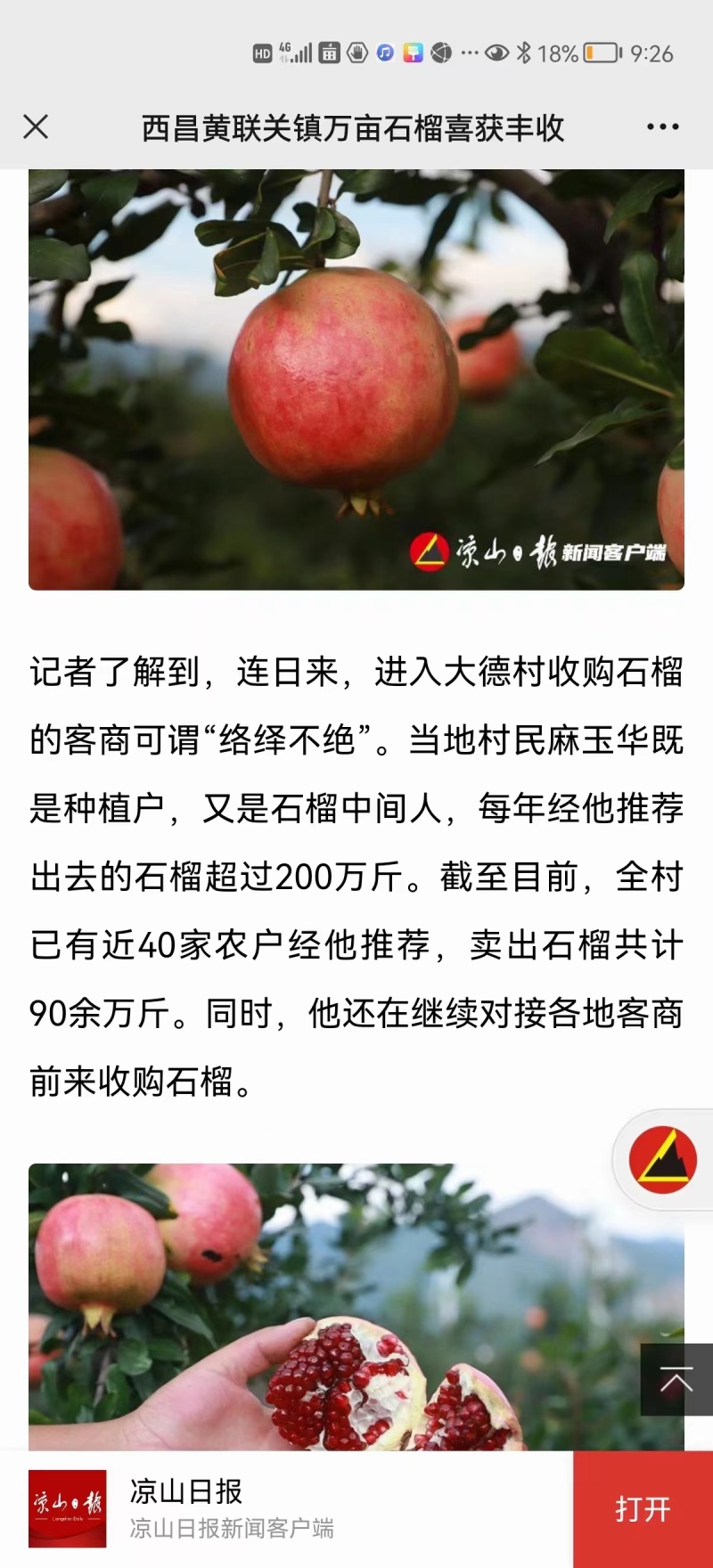 【推荐】凉山突尼斯软籽石榴大量上市、可视频看货，欢迎咨询