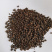 木姜子山苍子荜澄茄澄茄子毗陵茄子山鸡椒毕茄批