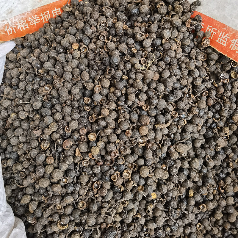 木姜子山苍子荜澄茄澄茄子毗陵茄子山鸡椒毕茄批