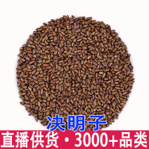 决明子散装批量批发炒熟决明子茶决明子玩具沙儿童沙滩枕头中