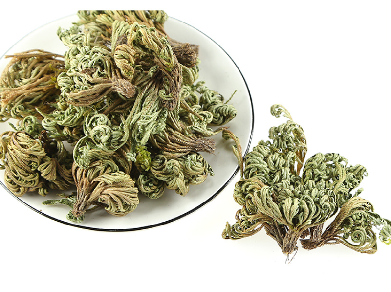 小叶卷柏正品卷伯植物九死还魂草卷伯草还阳草不死草石