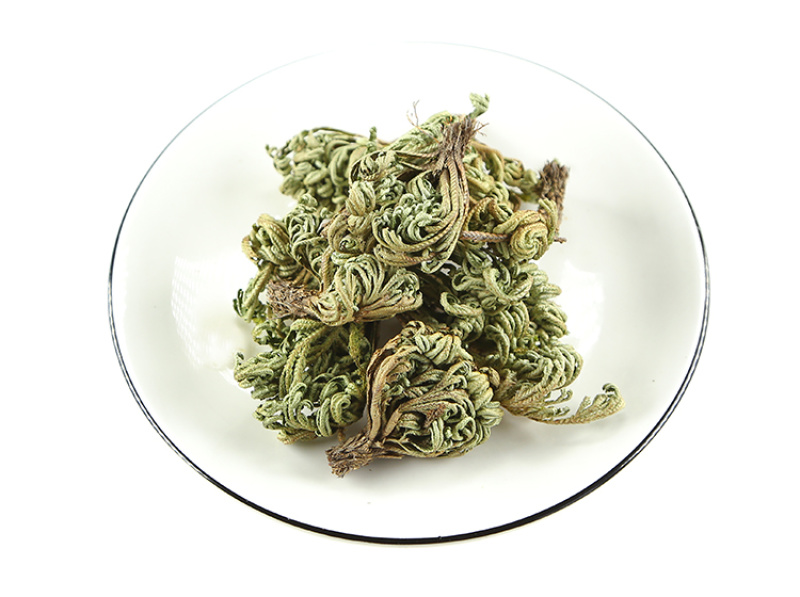 小叶卷柏正品卷伯植物九死还魂草卷伯草还阳草不死草石