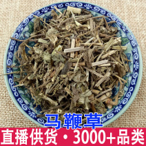 马鞭草各种规格马鞭草品种全量大从优