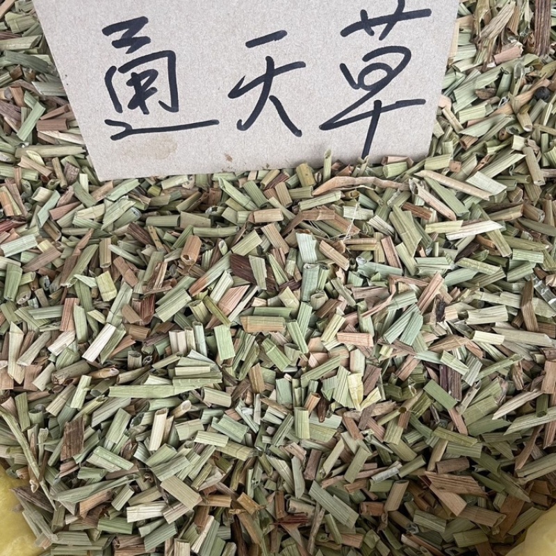 通天草荸荠梗地栗梗荸荠苗材批发量大从