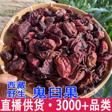 鬼臼果