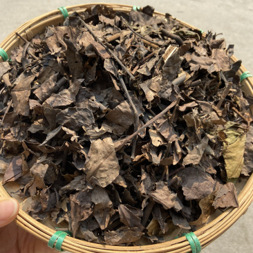 九节茶肿节风批发量大从优