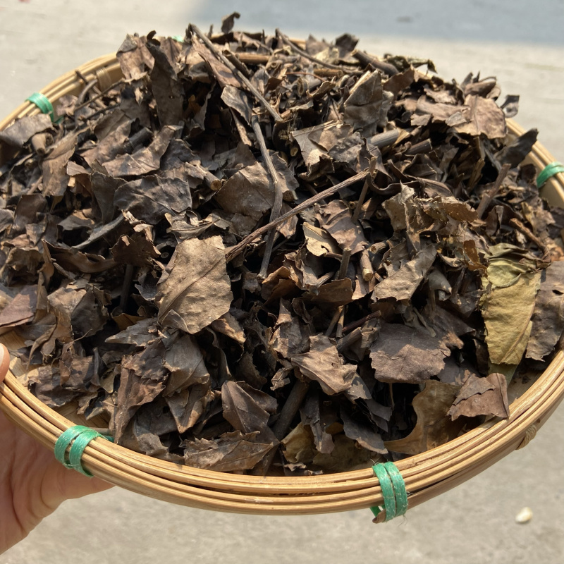 九节茶肿节风批发量大从优