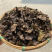 九节茶肿节风批发量大从优
