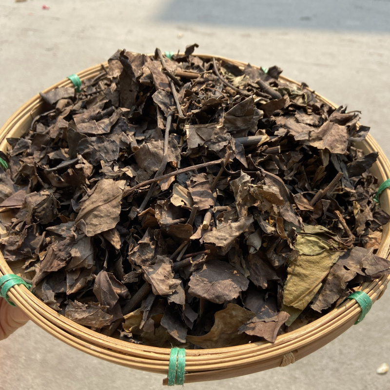 九节茶肿节风批发量大从优