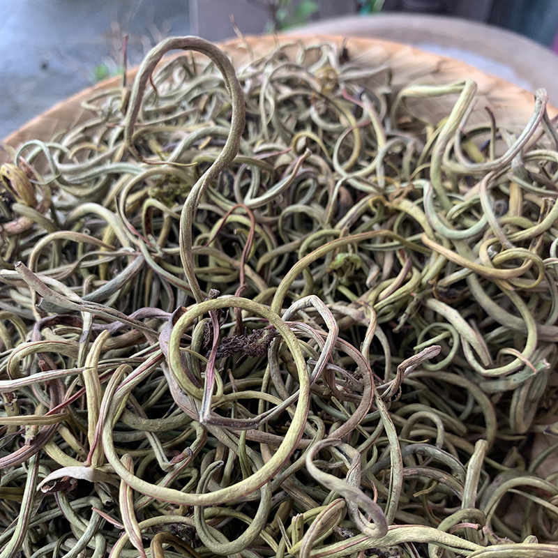 云南化石草猫须草肾精草正宗农户深山采挖自然晾晒
