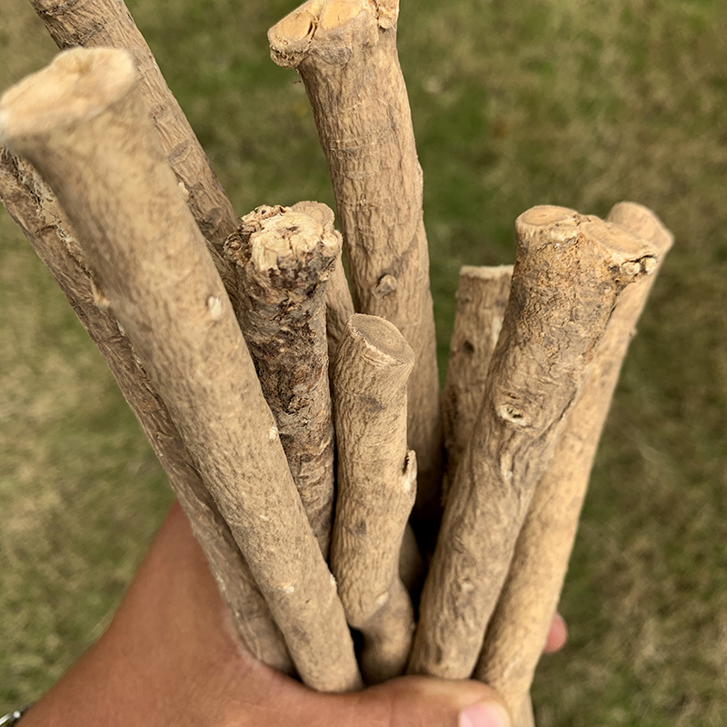 云南黄芪特级深山采挖老根整根批发量大从优