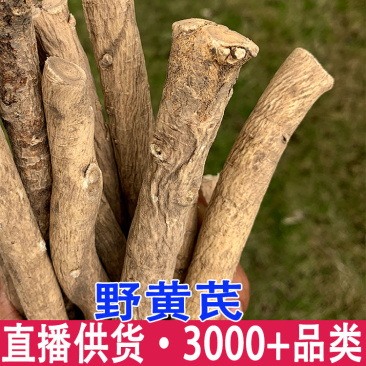 云南黄芪特级深山采挖老根整根批发量大从优