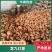 龙九红薯品质保证支持视频看货发往全国市场！