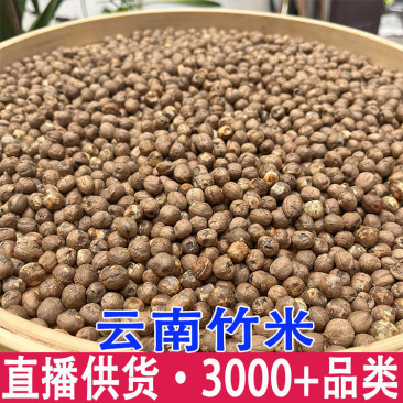 云南特产竹子米竹米竹实竹子果实米粥食材批发干货一件代