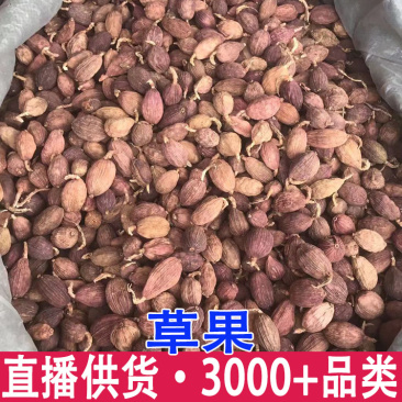 云南草果草果新鲜草果卤肉炖肉香料调味料批发量大从优