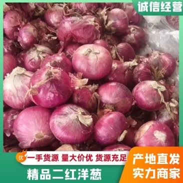 精品红皮洋葱、产地直供、全国代发对接商超优质货源