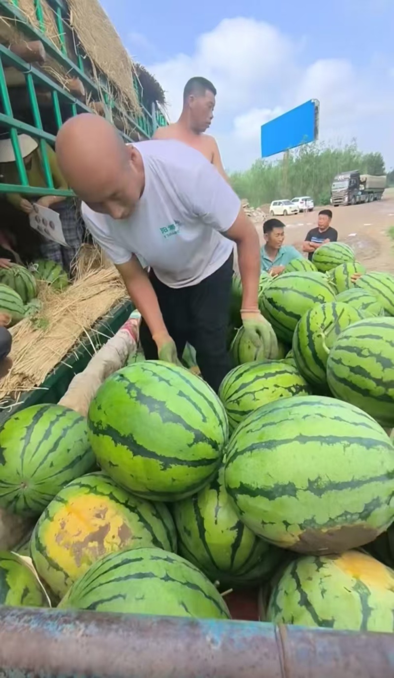 东北大地雷精品地雷瓜对接电商市场商超等各类客户