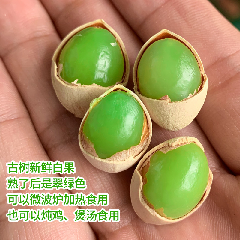 白果新鲜银杏果2023年新货云南腾冲银杏村古树老品种粘糯