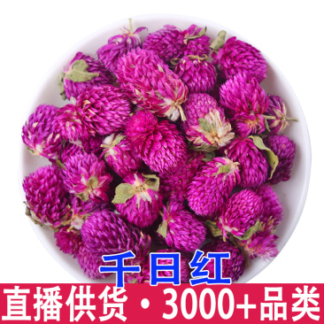 千日红批发散装花草茶各种规格千日紫茶承接大货量大从优