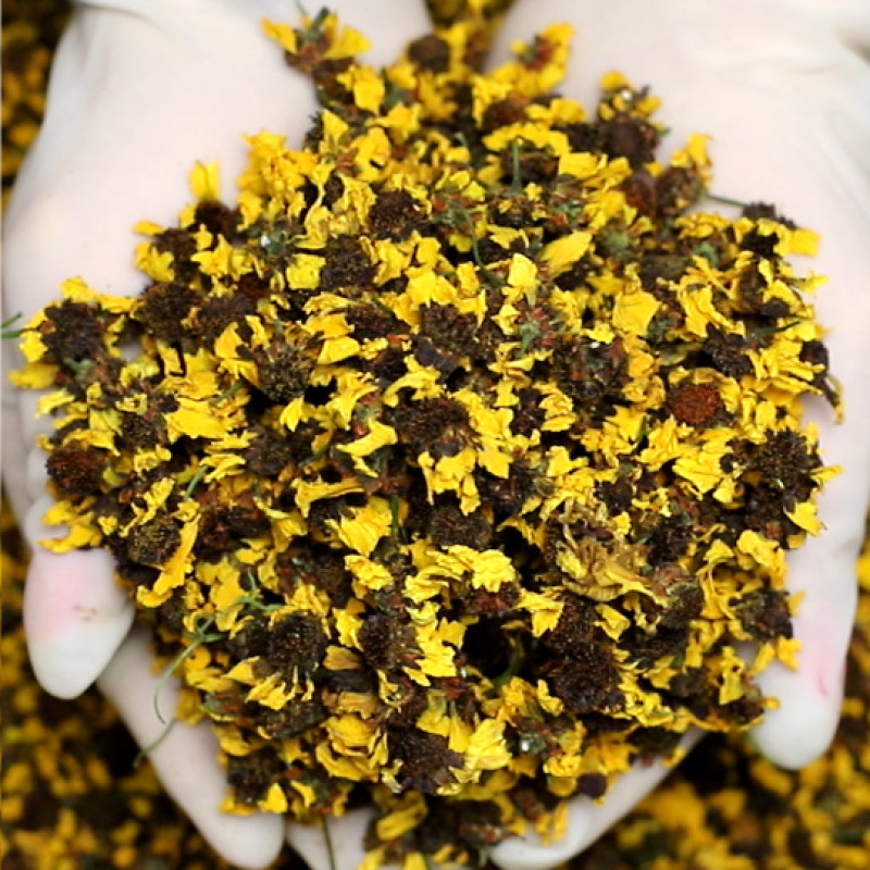 昆仑雪菊散装500g新货新疆雪菊菊花茶农产品雪菊花草