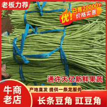 【长条豆角】青豆角豇豆角大量上市产地直供价格美丽